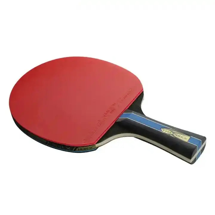 Paleta De Ping Pong 4 Estrellas Hueison Incluye Funda