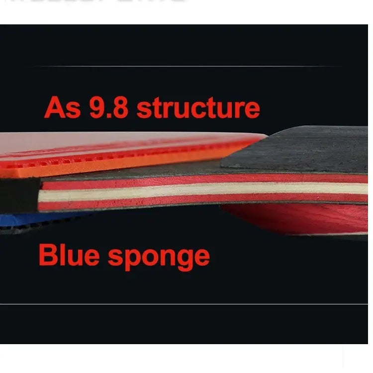 Paleta De Ping Pong 5 Estrellas Hueison Profesional Carbono