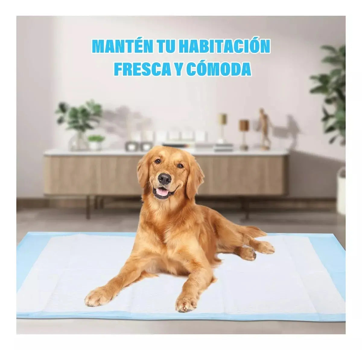 Pañales Sabanillas Perro Gato Mascotas 60x60cm 80 Unidades