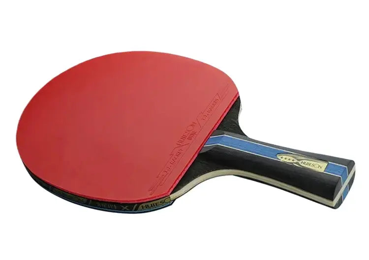 Paleta De Ping Pong 4 Estrellas Hueison Incluye Funda