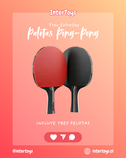 Paleta De Ping Pong 3 Estrellas Hueison Incluye Funda
