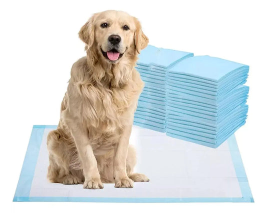 Pañales Sabanillas Perro Gato Mascotas 60x60cm 80 Unidades